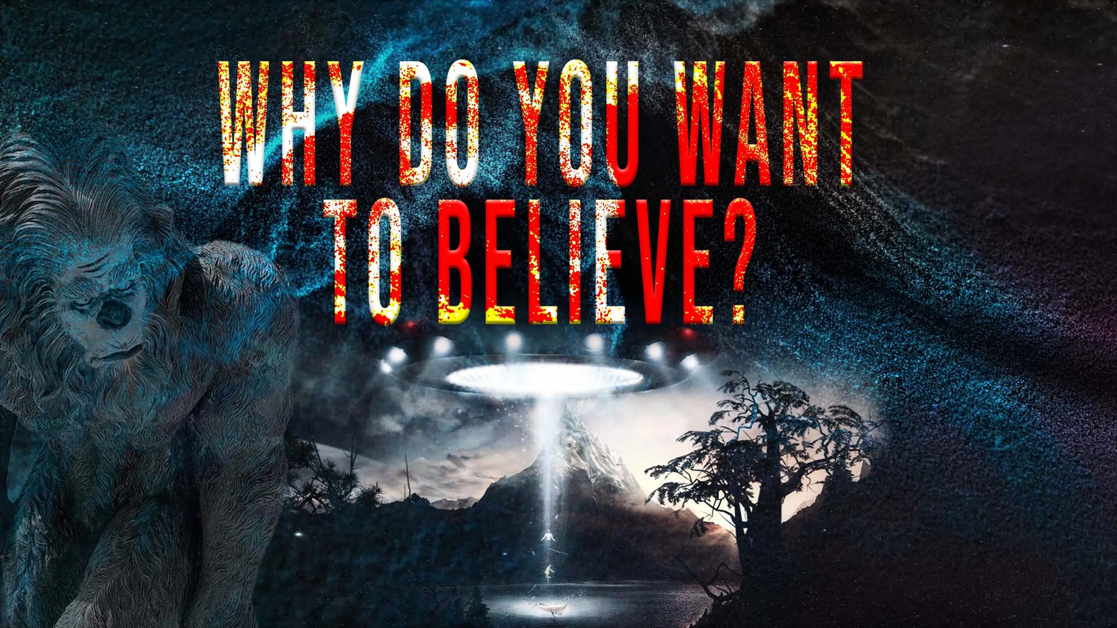 Why Do You Want to Believe poster
